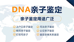 安徽司法DNA亲子鉴定大概多少费用【2024最新整理】